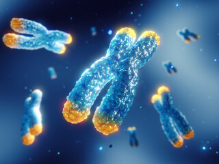 Telomeres are found on both ends of chromosomes. Telomere length is affected by lifestyle and has direct impact on human health and lifespan. Chromosome damage and repair concept. - 430015441
