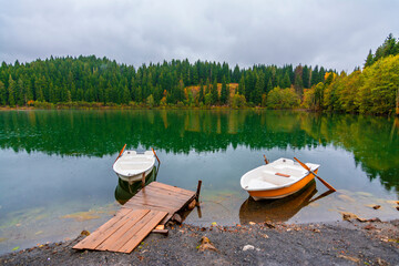 Obraz premium Autumn colors at rainy day in Savsat of Turkey