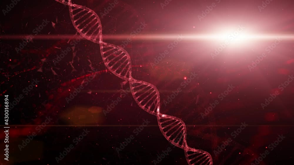 Poster abstract red digital rotating dna molecule on futuristic shiny copy space background.