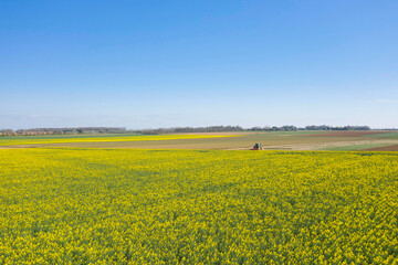Obraz premium Un champ de colza jaune et un tracteur labourant un champ en France, en Normandie, dans le Calvados, au bord de la Manche sous le Soleil.