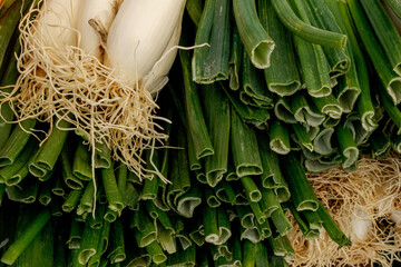 Cebolletas frescas en mercado de primavera.Verduras