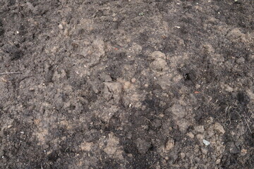 excavated land brown soil texture background in spring