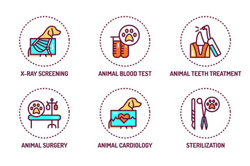 Animal checkup color line icons set. Isolated vector element. Outline pictograms for web page, mobile app, promo.