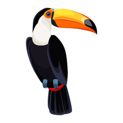 Red-billed toucan or toucan toco Ramphastos toco. Tropical bird. Colorful vector isolated, transparent background. © Irina