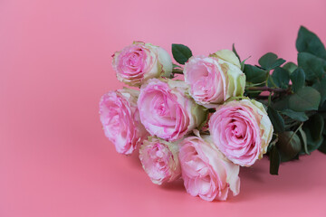 a delicate bouquet of beautiful roses on pink background. A declaration of love