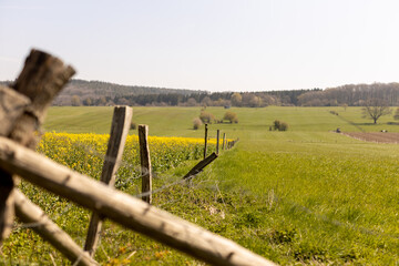 Green fields and fence