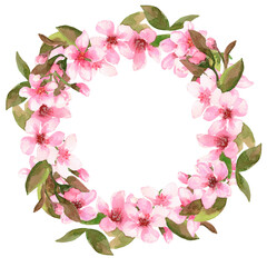 Fototapeta na wymiar Round frame made of cherry blossoms. A wreath. The image is hand-drawn and isolated on a white background.