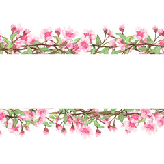 Obraz na płótnie Canvas Horizontal frame made of cherry blossoms. The image is hand-drawn and isolated on a white background.