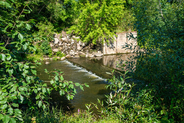 slow forest river in summer green woods with rocks in stream