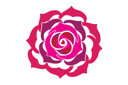 Rose blossom flower sketch symbol icon logo vector image design
