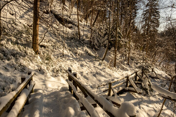 magical winter forest with trees under snow cover