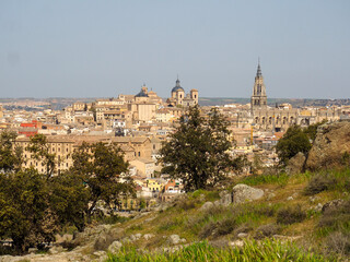 Obraz premium view of the city