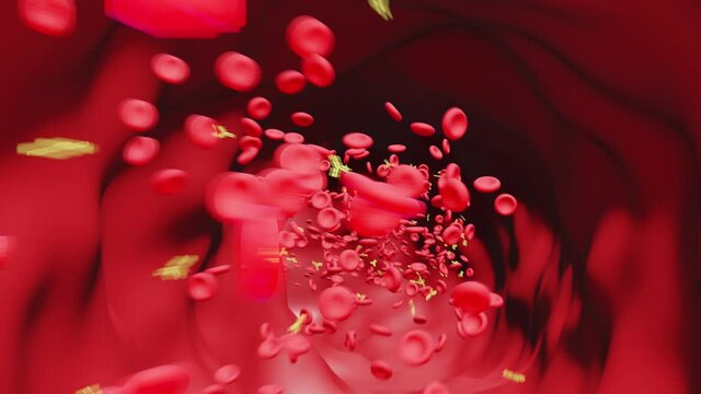 Blood Vessel: Red Blood Cells with Antibodies (Against Flow)