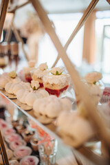 close up of a person holding a plate of food