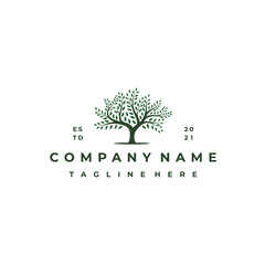 Vibrant tree logo design, tree vector illustration. Tree of life logo design inspiration