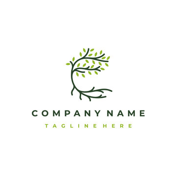 Tree and roots logo design vector isolated, abstract tree logo design