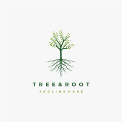 Vibrant tree logo design, tree and root vector. Tree of life logo design inspiration