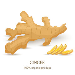 Ginger vector. Whole and sliced ginger root isolated on white background. Illustration in the cartoon style. Cut the close-up.
