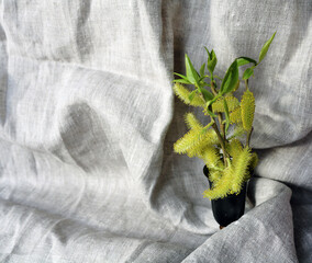 willow branch in a vase on a gray drapery
