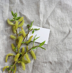 willow branch in a vase on a gray drapery
