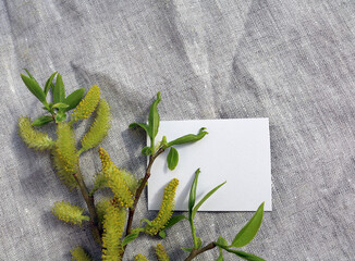 willow branch in a vase on a gray drapery

