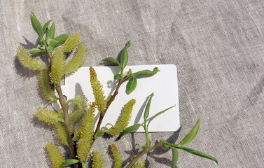 willow branch in a vase on a gray drapery
