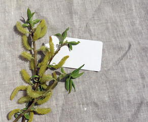 willow branch in a vase on a gray drapery

