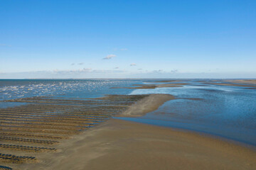 Fototapeta na wymiar Les parcs à huîtres et de moules de la plage de Utah beach en France, en Normandie, dans la Manche.