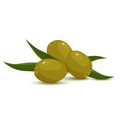 Green olive. Whole on a branch with leaves, pitted olives. Ingredient, an element for the design of food packaging, recipes, and menus. Isolated on white vector illustration in flat style