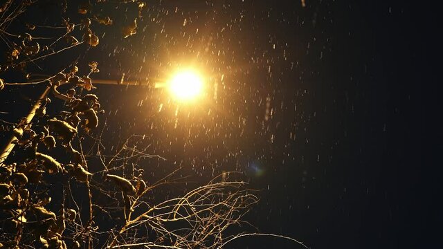 With dead leaves in foreground, snow falling in winter night is particularly conspicuous under the illumination of a street light. Rotating shot
