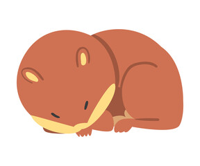 Cute Funny Hamster Sleeping Curled Up, Adorable Animal Character Cartoon Vector Illustration