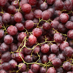 Seamless background of grapes on flat surface. Minsk. Belarus.