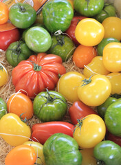 Tomates de couleurs
