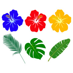 Fototapeta premium ハイビスカスと南国の植物