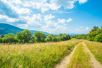 road near the field covered with grass and flowers and trees on a background of mountains and blue sky and clouds. summer season.