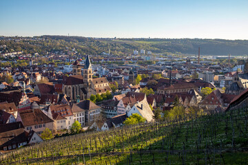 Fototapeta na wymiar Blick von der Esslinger Burg auf die Altstadt mit der frühgotischen Stadtkirche St. Dionys