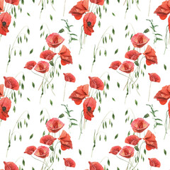 Watercolor seamless pattern with poppies on white background.