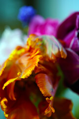 Fototapeta na wymiar Blumenstrauß, Tulpenstrauß, Blumen, Tulpen