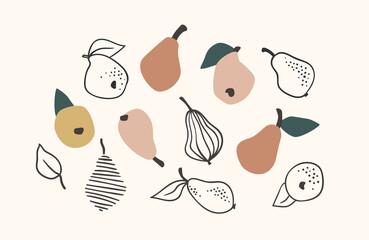 Set of drawn pears, Vector illustration. Isolated elements.