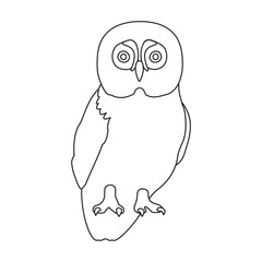 Owl vector outline icon. Vector illustration bird on white background. Isolated outline illustration icon of owl .