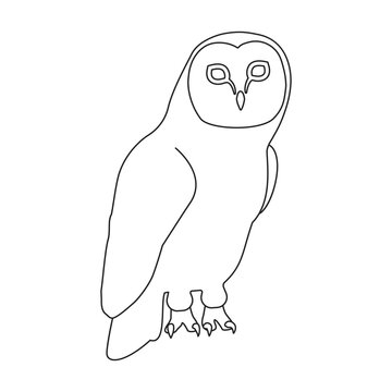 Owl vector outline icon. Vector illustration bird on white background. Isolated outline illustration icon of owl .
