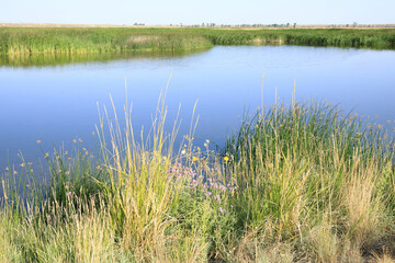 Green River in Seedskadee National Wildlife Refuge, Wyoming, USA
