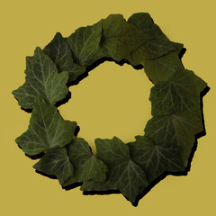 Green leaves arranged in a circle on a yellow background
