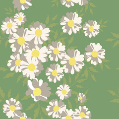 Pattern of flat chamomile flowers. White daisies on a green background. Illustration for backgrounds, wrappers, postcards, textiles, prints and any of your designs. Vector illustration. 