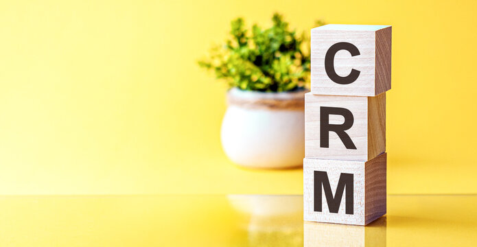 Three wooden cubes with letters - crm - Customer Relationship Management, on blue table, space for text in left. Front view concepts, flower in the background.
