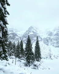 snow covered mountains
