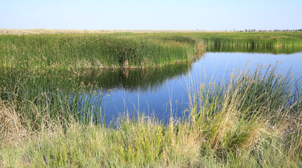 Seedskadee National Wildlife Refuge in Wyoming, USA