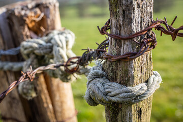 Closeup shot of a rusty barbed wire fence on a wooden pole