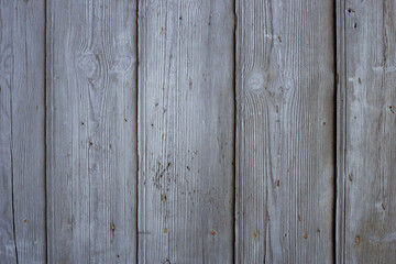 Fototapeta premium The old gray wood texture with natural patterns