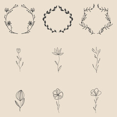 Collage of nine minimal flowers. Set of hand drawn plants, leaves, dots, blooms, lines. Minimalist sketches. Isolated on beige. Illustrations for social networks, cover design, wedding, greeting card.